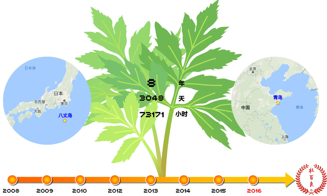 杜百良明日叶历时八年研发