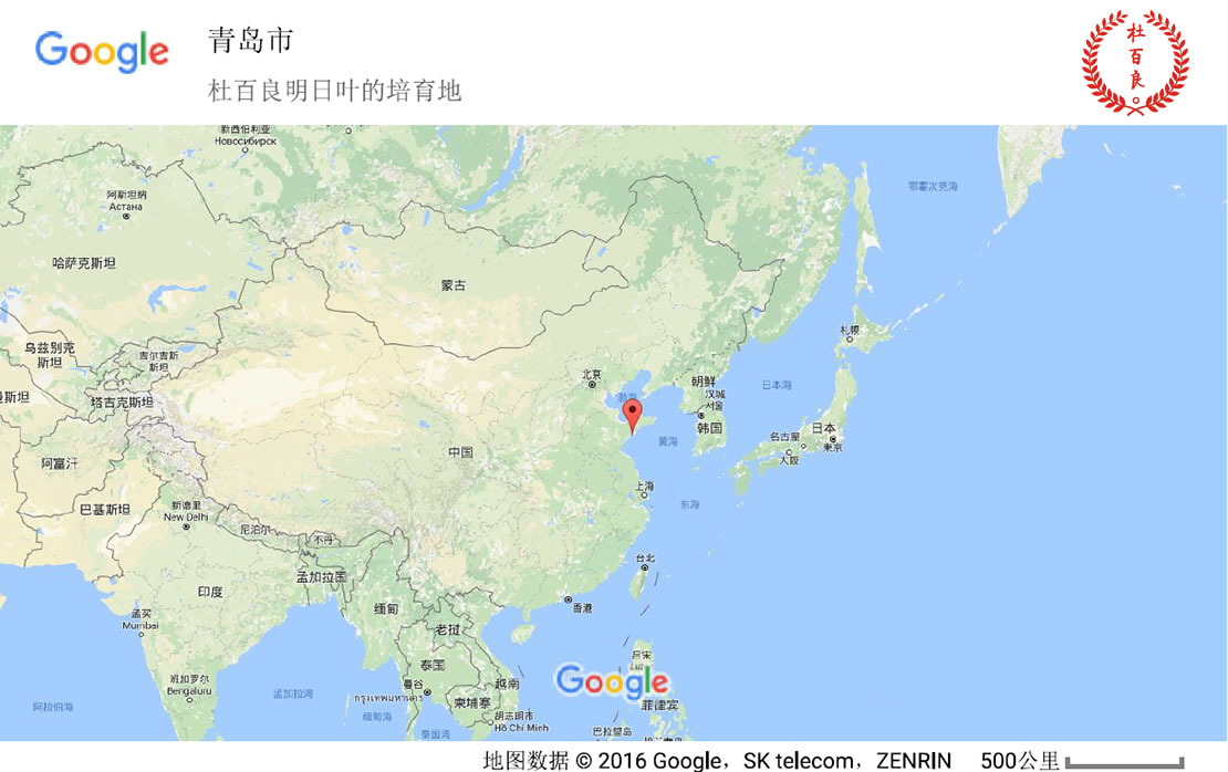 杜百良明日叶栽培、培育地